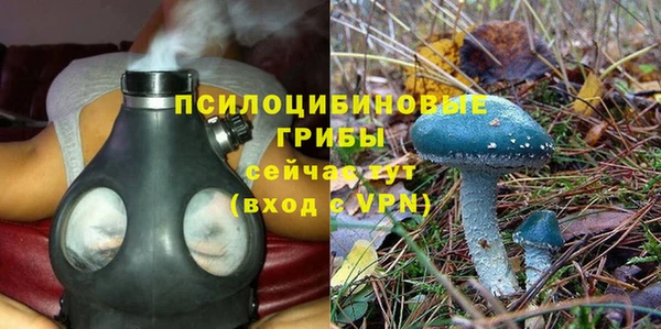 дмт Бронницы