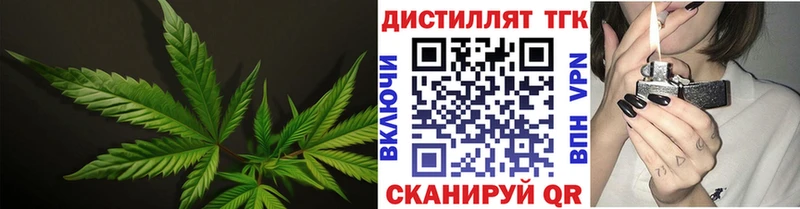 ТГК концентрат Санкт-Петербург